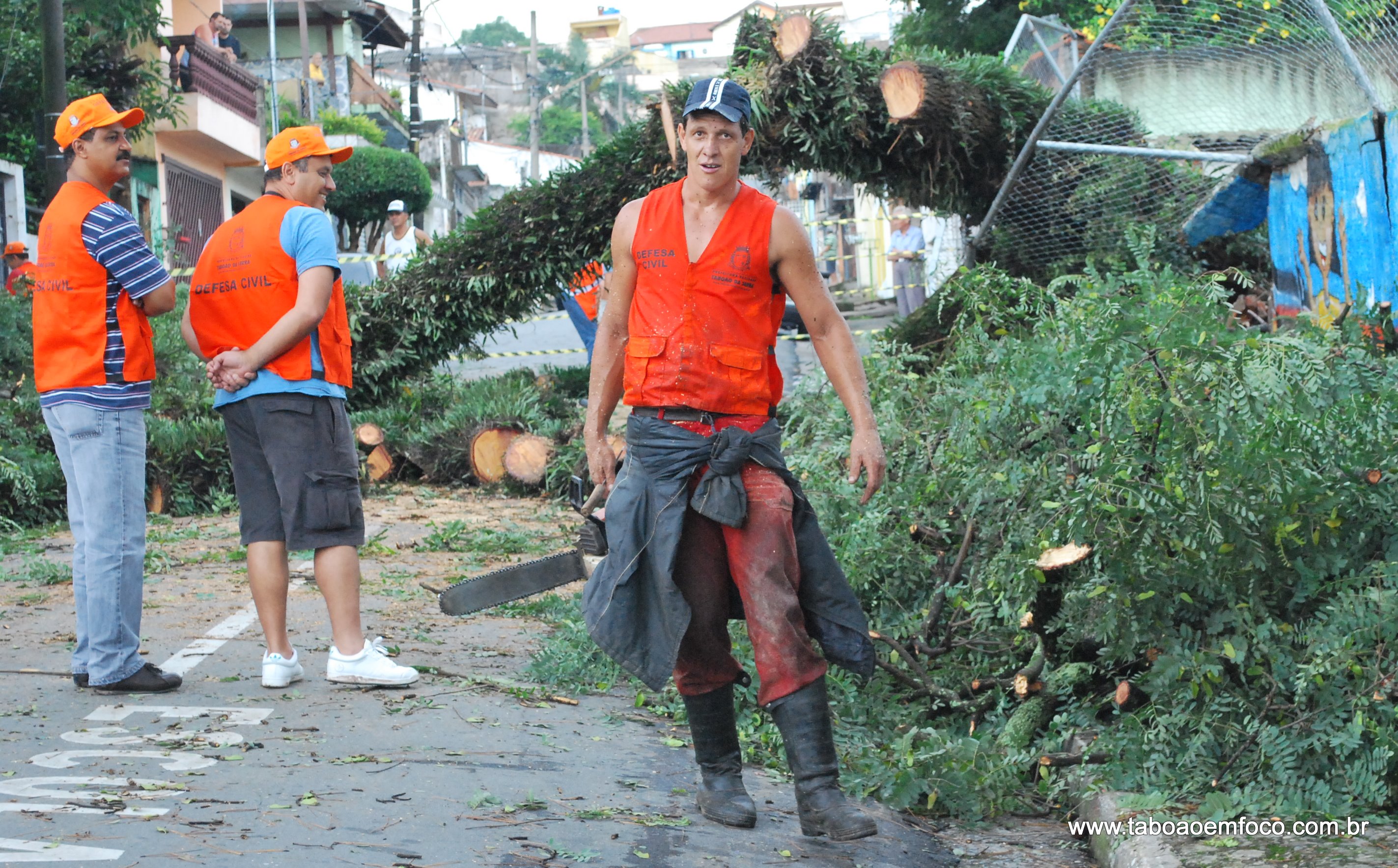 Funcionário carrega motoserra para cortar árvores