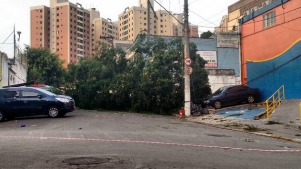 Árvore caída na região central foi removida apenas pela manhã desta quarta (23) com a presença da Defesa Civil e AES Eletropaulo. (Foto: Reprodução)