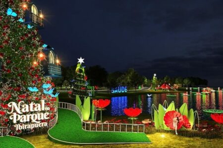 Parque Ibirapuera inaugura show de luzes e decoração de natal - Taboão em  foco