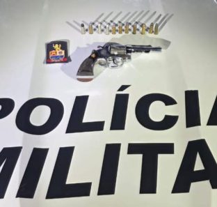 Arma de fogo apreendida em ocorrência de violência doméstica