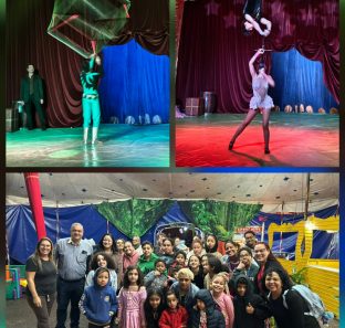 Circo Bremer