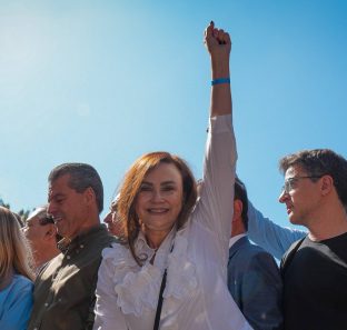 Deputada Analice Fernandes em convenção do PSD