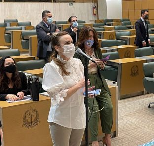Deputada Analice Fernandes na Assembleia Legislativa