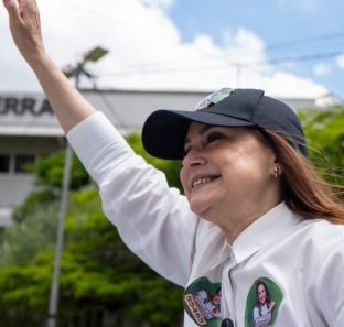 Deputada Analice Fernandes
