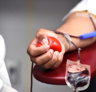 Doação-de-sangue