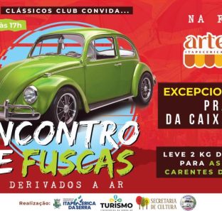 Encontro de Fuscas