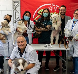 FOTO - Alunos do curso de Auxiliar Veterinário da Escola Pet de Taboão participam do Show de Talentos (1)