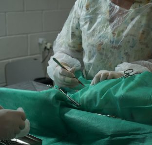 FOTO - Mutirão Castra Pets acontece no domingo 2105 em Taboão da Serra