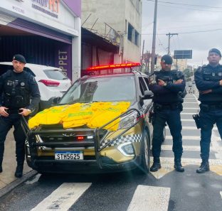 GCM recuperavcamisetars do Brasil