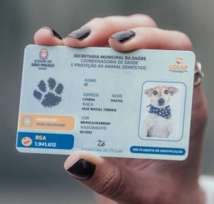 Prefeitura de São Paulo lança versão eletrônica de identidade para pets
