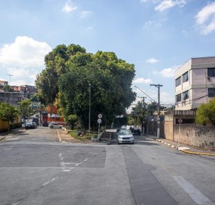 Rua Francisco dos Santos, Jardim Maria Rosa