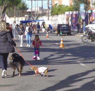 Rua Viva taboao
