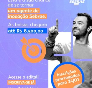 Sebrae ALI