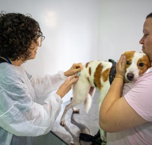 Vacina Pet no Seu Bairro já começaram no Jardim Salete (3)