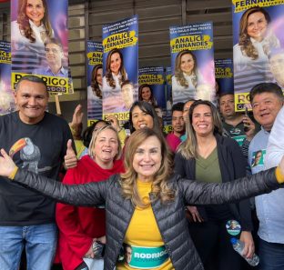 deputada analice fernandes