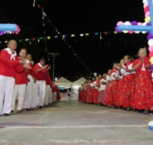 festa santa cruz embu das artes