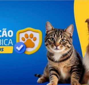 vacinação embu das artes