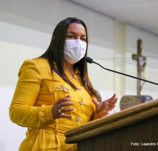 Vereadora Joice Silva faz oito emendas