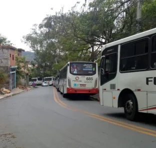 viacao-pirajucara-arvore-transito-14-10-24